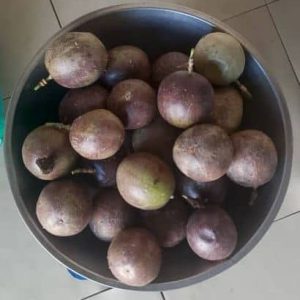 Tropical Passion Fruits 1kg